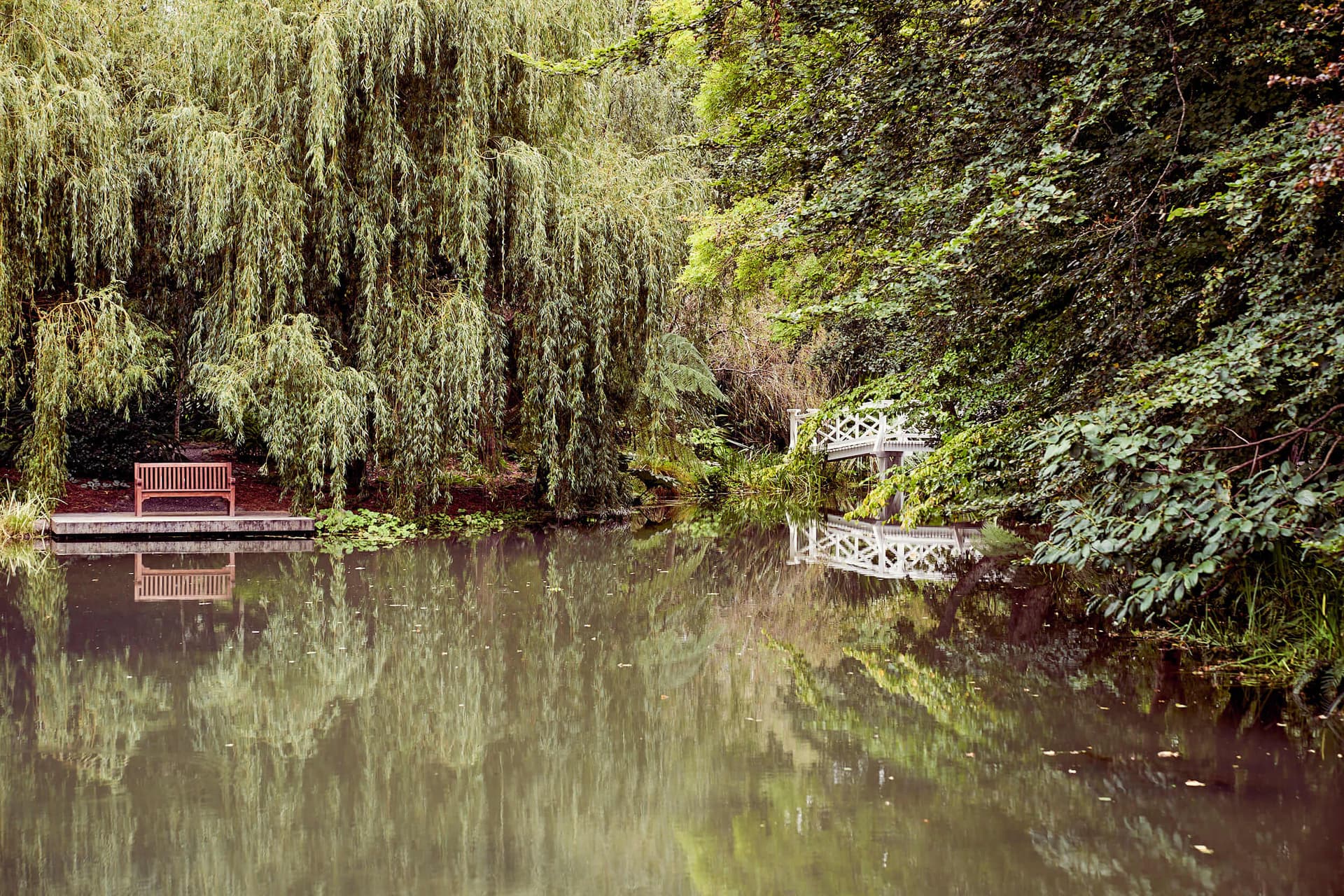 Willow Lake Reflections
