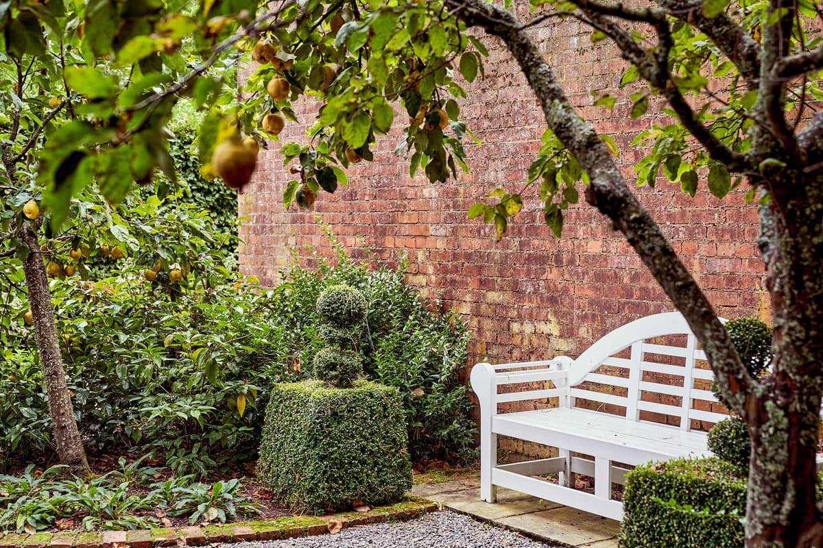 White garden bench with pear trees