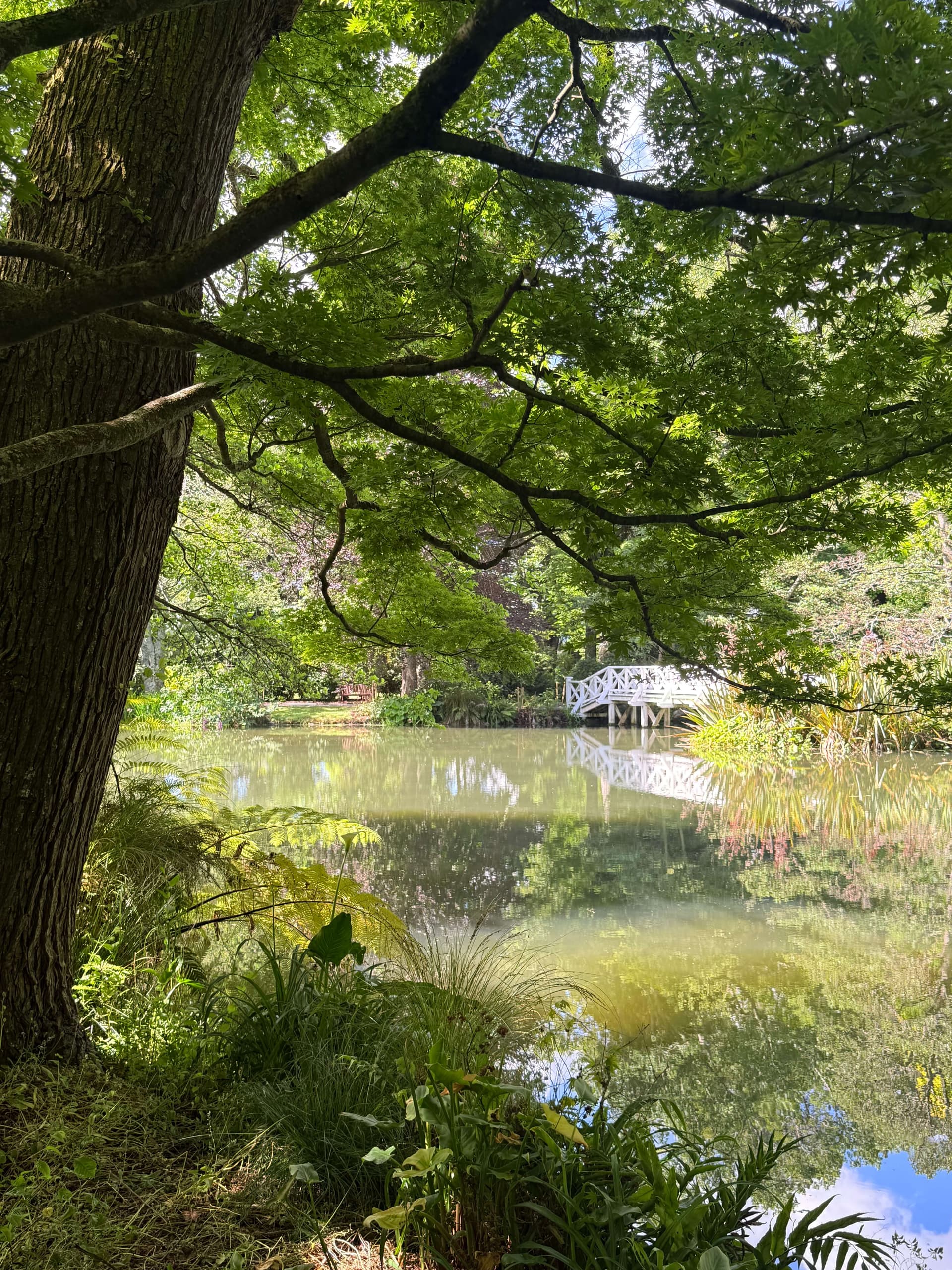 Lord of the Rings filming location at Fernside