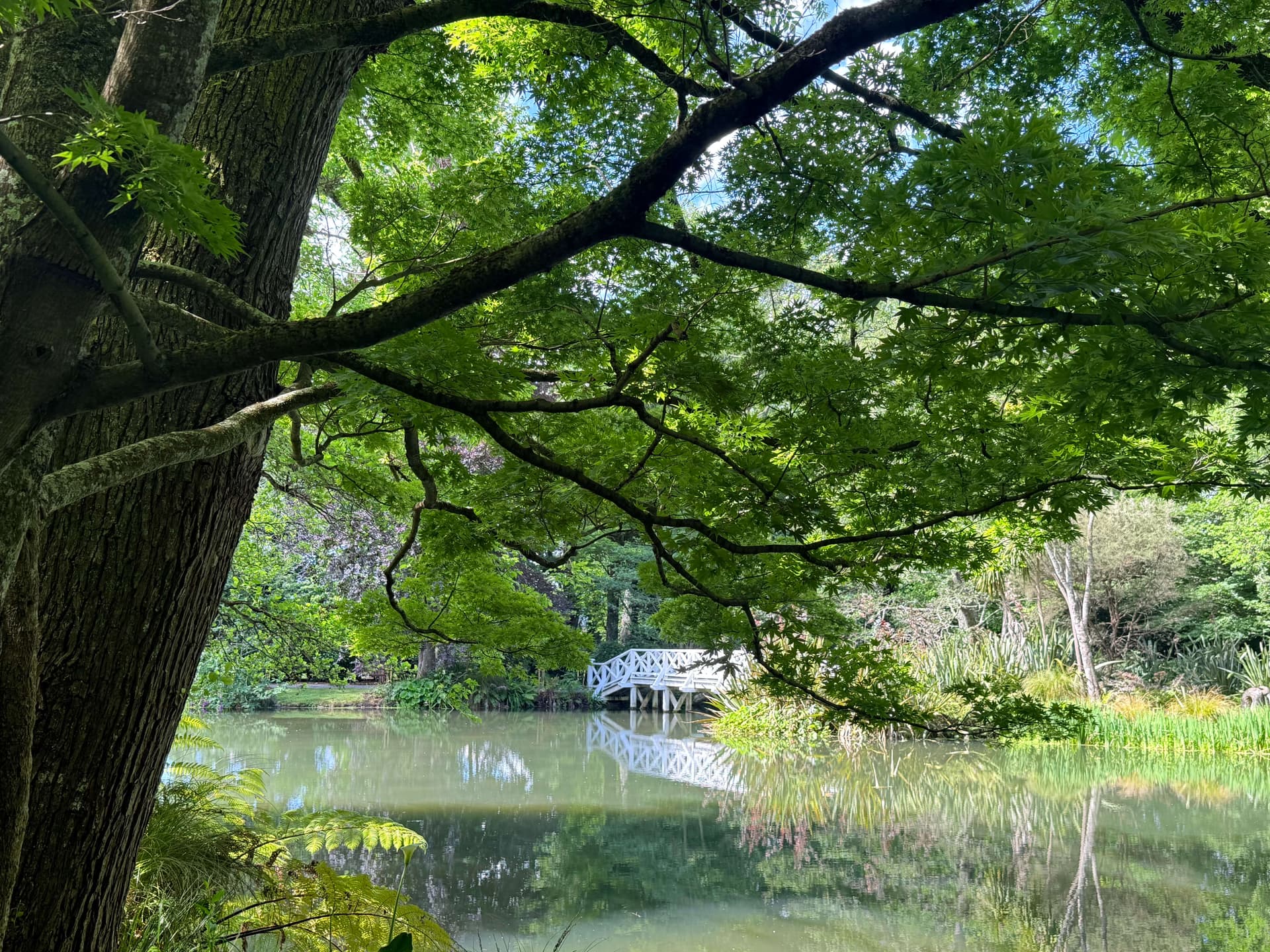 Middle-earth backdrop