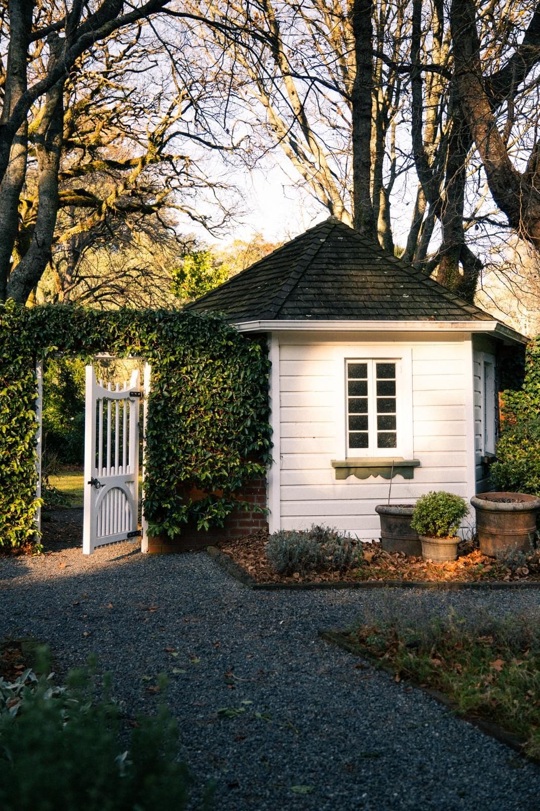 White garden bench with pear trees