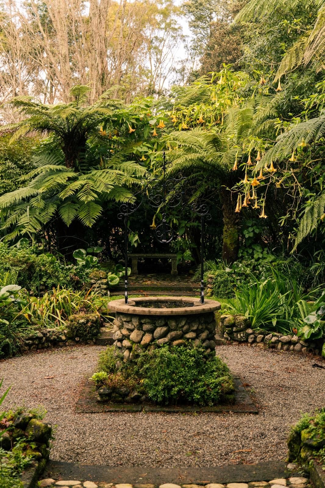 Enchanted woodland area
