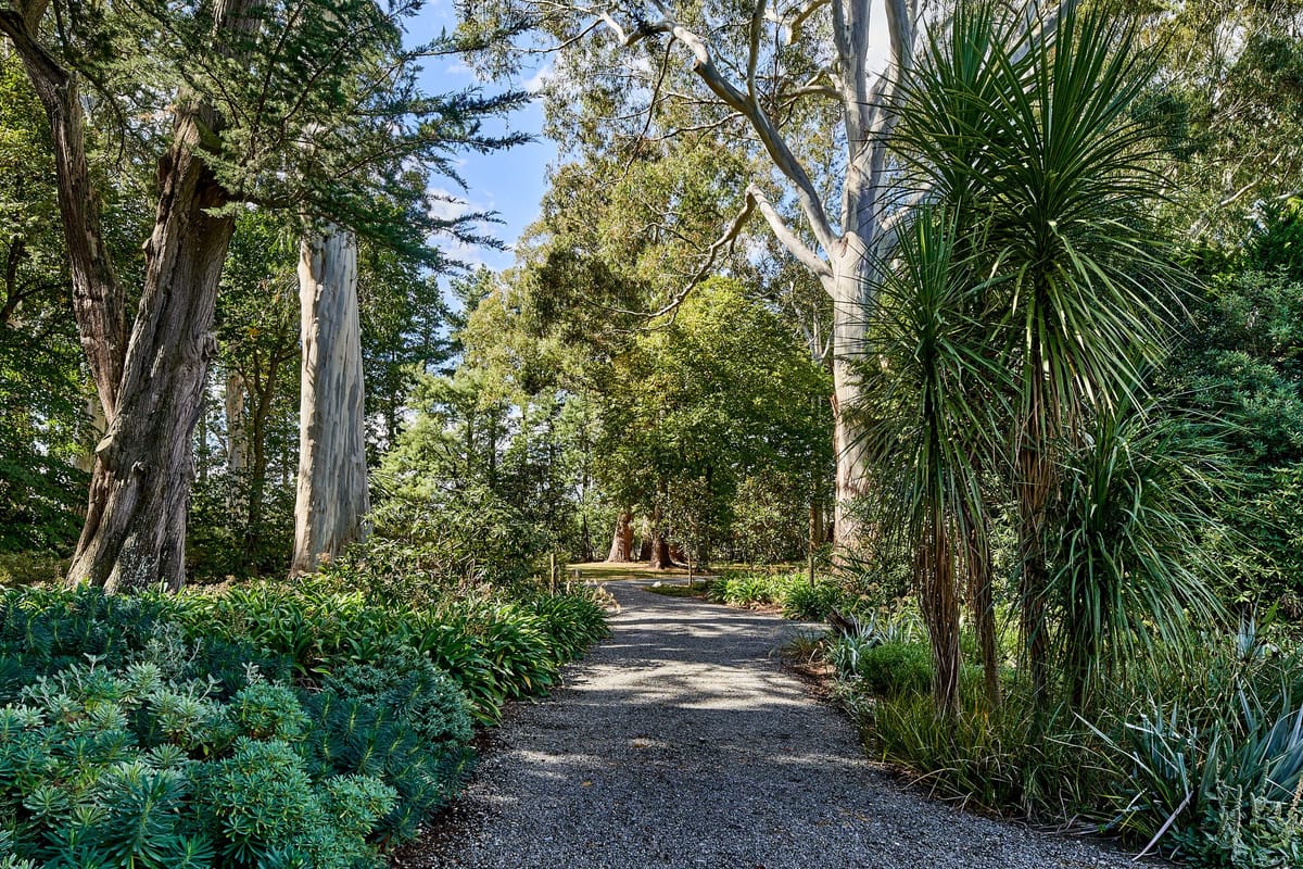 Woodland path