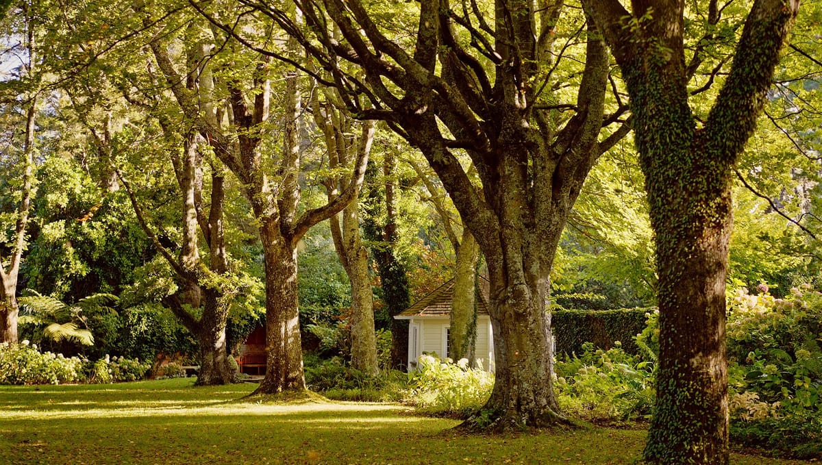 Fernside gardens view 1