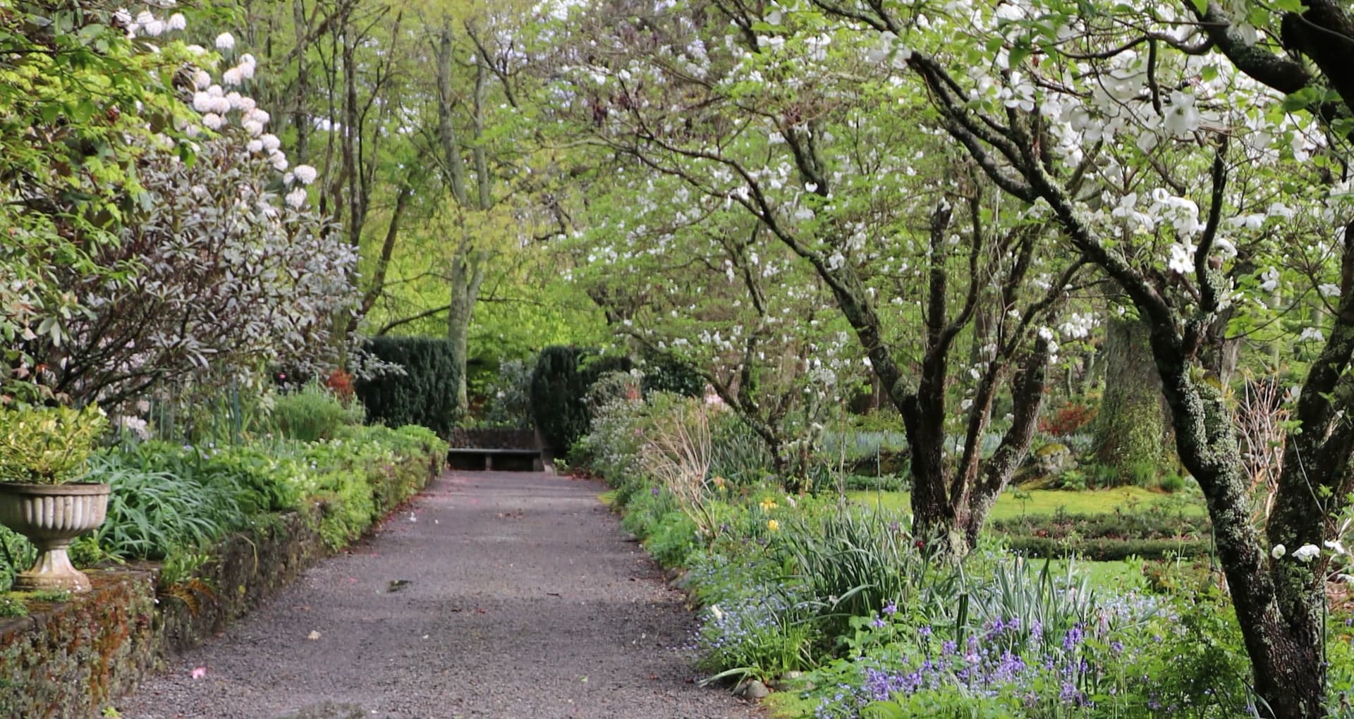 Spring blossoms and garden pathway at Fernside