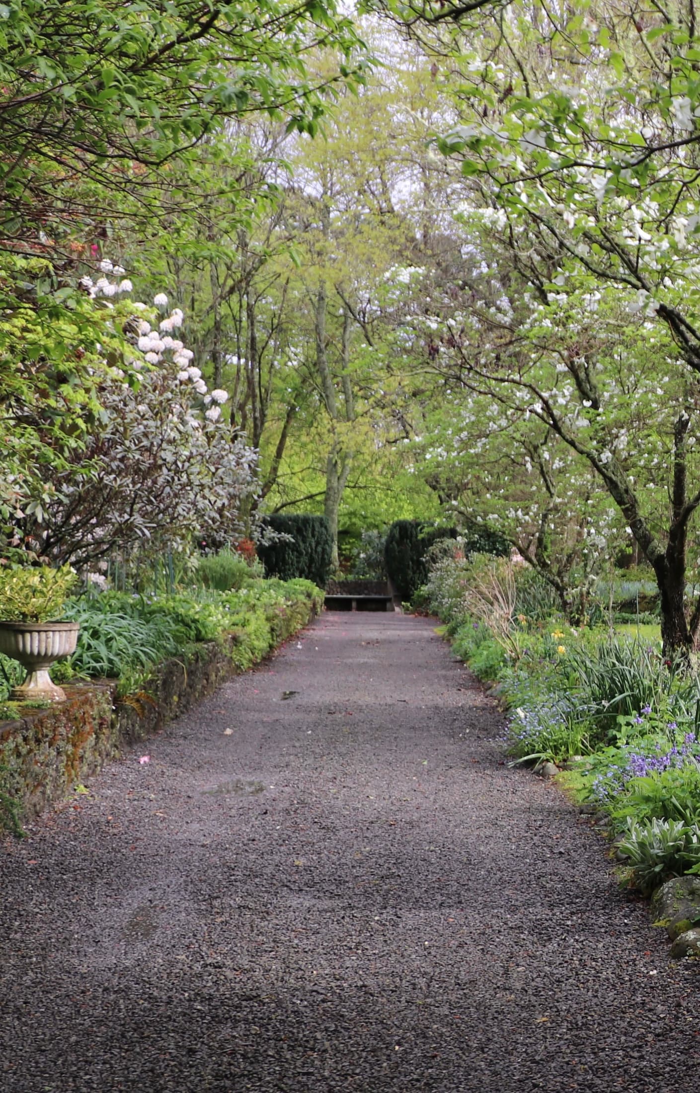 Child exploring spring garden at Fernside
